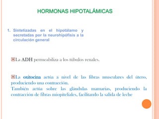 HORMONAS HIPOTALÁMICAS


1. Sintetizadas en el hipotálamo y
   secretadas por la neurohipófisis a la
   circulación general




 La ADH permeabiliza a los túbulos renales.


 La oxitocina actúa a nivel de las fibras musculares del útero,
 produciendo una contracción.
 También actúa sobre las glándulas mamarias, produciendo la
 contracción de fibras miopiteliales, facilitando la salida de leche
 