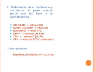 2. Sintetizadas en el hipotálamo y
  secretadas al plexo venoso
  portal que las lleva a la
  adenohipófisis


     GHRELINA -> estimula GH
     SOMATOSTATINA -> inhibe GH
     DOPAMINA -> inhibe PRL
     GHRH -> estimula LH, FSH
     TRH -> estimula TSH, PRL
     CRH -> estimula ACTH, vasopresina


3. Neuropéptidos

      Endorfinas, Encefalinas, VIP, CCK, etc
 