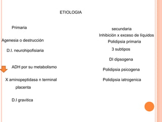 ETIOLOGIA


     Primaria                                     secundaria
                                           Inhibición x exceso de líquidos
Agenesia o destrucción                          Polidipsia primaria

  D.I. neurohipofisiaria                          3 subtipos

                                                DI dipsogena
     ADH por su metabolismo
                                             Polidipsia psicogena

 X aminopeptidasa n terminal                 Polidipsia iatrogenica
       placenta


     D.I gravitica
 