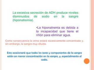 La excesiva secreción de ADH produce niveles
     disminuidos de sodio en la sangre
     (hiponatremia).

                         •La hiponatremia es debida a
                         la incapacidad que tiene el
                         riñón para eliminar agua.
Como consecuencia la orina estará excesivamente concentrada y,
sin embargo, la sangre muy diluida.


 Esto ocasionará que todos los iones y componentes de la sangre
 estén en menor concentración en la sangre, y, especialmente el
                             sodio.
 