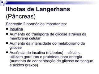 Ilhotas de Langerhans  (Pâncreas) Secreção 2 hormônios importantes: Insulina   Aumento do transporte de glicose através da membrana celular Aumento da intensidade do metabolismo da glicose Ausência de insulina (diabetes) – células utilizam gorduras e proteínas para energia (aumento da concentração de glicose no sangue e ácidos graxos) 