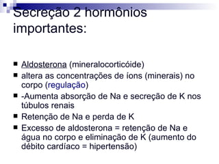 Secreção 2 hormônios importantes:   Aldosterona  (mineralocorticóide)  altera as concentrações de íons (minerais) no corpo ( regulação ) -Aumenta absorção de Na e secreção de K nos túbulos renais Retenção de Na e perda de K Excesso de aldosterona = retenção de Na e água no corpo e eliminação de K (aumento do débito cardíaco = hipertensão) 