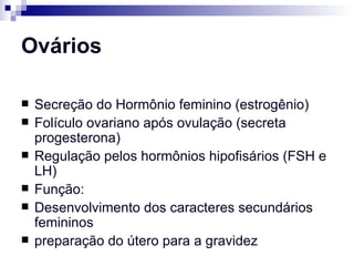 Ovários Secreção do Hormônio feminino (estrogênio) Folículo ovariano após ovulação (secreta progesterona) Regulação pelos hormônios hipofisários (FSH e LH) Função: Desenvolvimento dos caracteres secundários femininos preparação do útero para a gravidez   