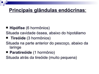   Principais glândulas endócrinas :         Hipófise  (6 hormônios)  Situada cavidade óssea, abaixo do hipotálamo Tireóide  (3 hormônios) Situada na parte anterior do pescoço, abaixo da laringe Paratireóide  (1 hormônio) Situada atrás da tireóide (muito pequena) 