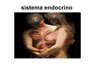 sistema endocrino 