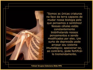"Somos as únicas criaturas na face da terra capazes de mudar nossa biologia pelo que pensamos e sentimos!  Nossas células estão constantemente bisbilhotando nossos pensamentos e sendo  modificados por eles. Um surto de depressão pode arrasar seu sistema imunológico; apaixonar-se,  ao contrário, pode fortificá-lo tremendamente. 