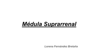 Médula Suprarrenal
Lorena Fernández Bretaña
 
