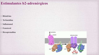 Estimulantes b2-adrenérgicos
• Ritodrina
• Terbutalina
• Salbutamol
• Fenoterol
• Hexoprenalina
 