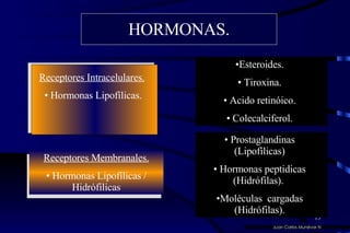 HORMONAS. Receptores Intracelulares.   Hormonas Lipofílicas. Receptores Membranales. Hormonas Lipofílicas / Hidrófilicas Esteroides. Tiroxina. Acido retinóico. Colecalciferol. Prostaglandinas (Lipofílicas) Hormonas peptidicas (Hidrófilas).  Moléculas  cargadas (Hidrófilas). Juan Carlos Munévar N 