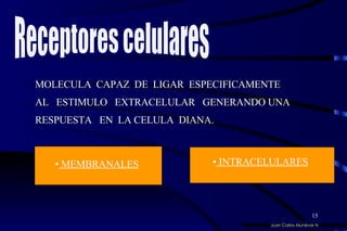 MOLECULA  CAPAZ  DE  LIGAR  ESPECIFICAMENTE  AL  ESTIMULO  EXTRACELULAR  GENERANDO UNA  RESPUESTA  EN  LA CELULA  DIANA.  Receptores celulares Juan Carlos Munévar N MEMBRANALES INTRACELULARES 