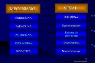 Juan Carlos Munévar N MECANISMO . INTRACRINA. AUTOCRINA . PARACRINA . SINAPTICA. SEÑAL. Factores de crecimiento Neurotransmisor HORMONA. Quemoquinas . ENDOCRINA. Neurotransmisor 
