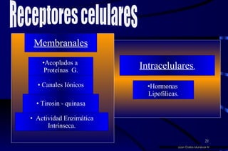 Acoplados a  Proteínas  G. Canales Iónicos Membranales Tirosin - quinasa Actividad Enzimática Intrínseca. Juan Carlos Munévar N Receptores celulares Intracelulares . Hormonas  Lipofílicas. 