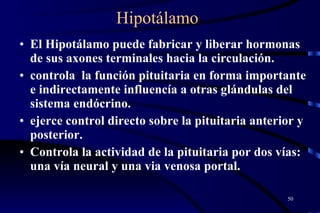 Hipotálamo El Hipotálamo puede fabricar y liberar hormonas de sus axones terminales hacia la circulación.  controla  la función pituitaria en forma importante e indirectamente influencía a otras glándulas del sistema endócrino.   ejerce control directo sobre la pituitaria anterior y posterior.  Controla la actividad de la pituitaria por dos vías:  una vía neural y una via venosa portal. 