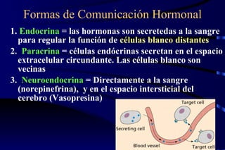 Formas de Comunicación Hormonal 1.  Endocrina  = las hormonas son secretedas a la sangre para regular la función de  células blanco distantes 2.  Paracrina  = células endócrinas secretan en el espacio extracelular circundante. Las células blanco son vecinas  3.  Neuroendocrina  = Directamente a la sangre (norepinefrina),  y en el espacio intersticial del cerebro (Vasopresina) 
