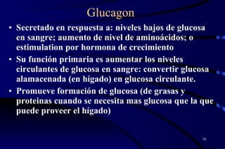 Glucagon Secretado en respuesta a: niveles bajos de glucosa en sangre; aumento de nivel de aminoácidos; o estimulation por hormona de crecimiento  Su función primaria es aumentar los niveles circulantes de glucosa en sangre: convertir glucosa alamacenada (en hígado) en glucosa circulante.  Promueve formación de glucosa (de grasas y proteinas cuando se necesita mas glucosa que la que puede proveer el hígado)  