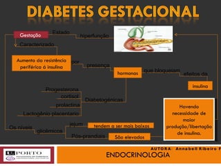 ENDOCRINOLOGIA Gestação  Estado hiperfunção Caracterizado  Aumento da resistência periférica á insulina por presença hormonas Diabetogénicas Progesterona cortisol prolactina Lactogênio placentario Os níveis glicêmicos jejum tendem a ser mais baixos Pós-prandiais São elevados que bloqueiam efeitos da insulina Havendo necessidade de maior produção/libertação de insulina. (1) (b) AUTORA:  Annabell Ribeiro Faria 