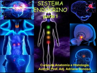 SISTEMA
ENDÓCRINO
parte I
Curso de Anatomía e Histología.
Autora: Prof. Adj. Adriana Donoso.
 