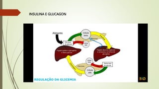 INSULINA E GLUCAGON
 