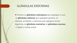 GLÂNDULAS EXÓCRINAS
 Incluem as glândulas sudoríparas que segregam o suor,
as glândulas sebáceas que segregam gordura, as
salivares, as biliares, o pâncreas que segrega enzimas
digestivas, as glândulas mamárias, as glândulas mucosas,
o fígado e muitas outras
 