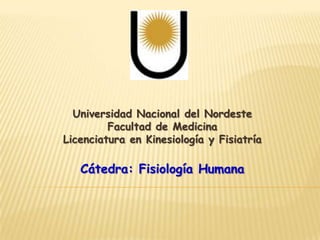 Universidad Nacional del Nordeste Facultad de Medicina Licenciatura en Kinesiología y Fisiatría Cátedra: Fisiología Humana 