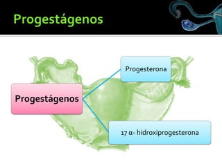 Amenorrea Secundaria
                                         HC + PRL, TSH
                                         Eleva...