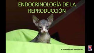 ENDOCRINOLOGÍA DE LA
REPRODUCCIÓN
M. V. Paula Mariana Manghera 2017
 