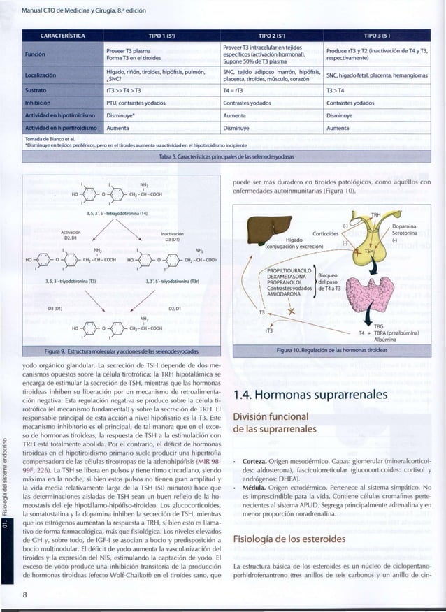 Endocrinología metabolismo & nutrición cto 8