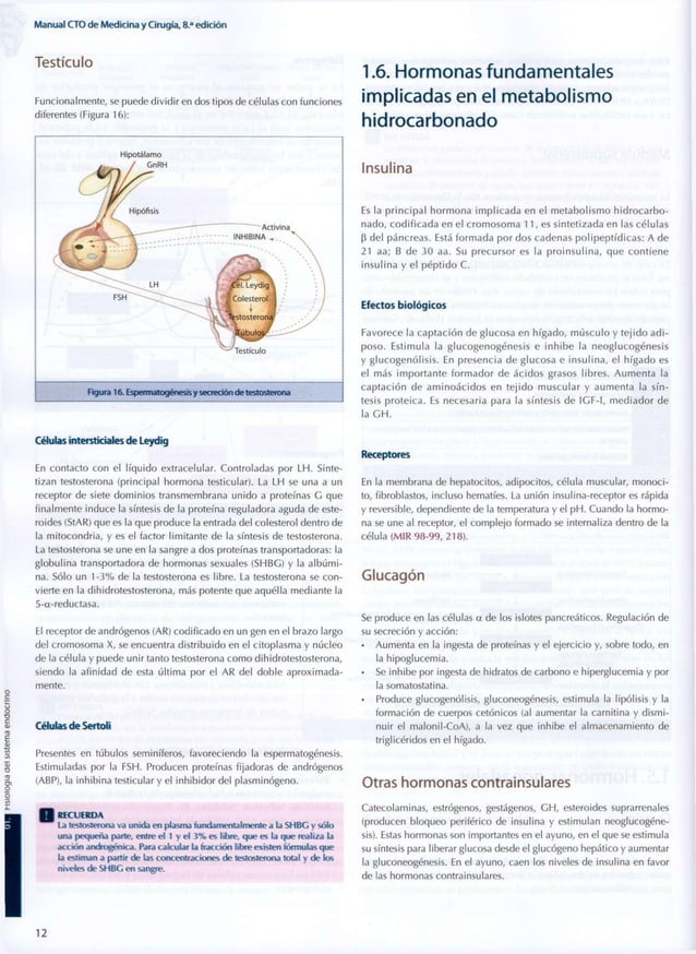 Endocrinología metabolismo & nutrición cto 8