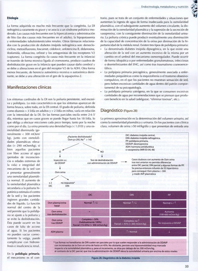 Endocrinología metabolismo & nutrición cto 8