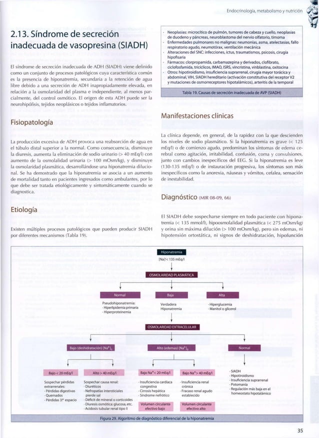 Endocrinología metabolismo & nutrición cto 8