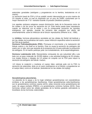 Universidad Nacional Agraria --- Sede Regional Camoapa 
_____________________________________________________________________________ 
Dr. Otoniel López López 
esteroides gonadales (estrógeno y progesterona en la hembra, testosterona en el 
macho). 
La secreción basal de FSH y LH es pulsátil, siendo interrumpida por un pico masivo de 
LH durante el estro, el cual es disparado por un pico de GnRH, ocasionado por la 
mayor liberación de 17 B - estradiol durante el proestro (feedback positivo). 
Los agentes opiáceos exógenos causan disminución, tanto de la frecuencia como de 
los niveles o de los picos de secreción de LH. Este hecho puede tener importancia 
cuando se relaciona con el estrés y con la consecuente secreción de opioides 
endógenos; por ejemplo, durante los primeros días postparto por efecto del 
amamantamiento sobre la inhibición de la función reproductiva (Wiliams et al., 1996). 
La inhibina, hormona glicoproteica secretada por las células de Sertoli del testículo y 
por las células de la granulosa del ovario, causa inhibición específica sobre la secreción 
de FSH de la hipófisis. 
Hormona Folículoestimulante (FSH). Promueve el crecimiento y la maduración del 
folículo ovárico o de Graff en la hembra. Esta no causa la secreción de estrógeno del 
ovario por si sola, sino que necesita de la presencia de LH para estimular la producción 
de estrógeno. En el macho participa, junto con la testosterona, de la espermatogénesis. 
Hormona Luteinizante (LH). Glucoproteína compuesta de una subunidad alfa y una 
beta con un peso molecular de 30.000 daltons y una actividad biológica de 30 minutos. 
Los niveles tónicos o básales de LH actúan en conjunto con la FSH para inducir la 
secreción de estrógeno del folículo maduro. 
LH induce la ovulación y mantiene el cuerpo lúteo; estimula junto con la FSH, la 
secreción de esteroides, tanto en el ovario (estrógenos en el folículo y progesterona en 
el cuerpo lúteo) como en el testículo (testosterona en las células de Leydig). 
Gonadotropinas placentarias. 
La placenta de la yegua y de la mujer sintetizan gonadotropinas con características 
similares a los gonadotropinas hipofisiarias. Estas gonadotropinas extra-hipofisiarias 
son la gonadotropina coriónica equina (eCG), antes conocida como gonadotropina del 
suero de yegua preñada (PMSG) y la gonadotropina coriónica humana (hCG). Esas 
hormonas actúan sobre las células gonadales de la hembra gestante estimulando la 
biosíntesis de las hormonas esteroidales. 
 