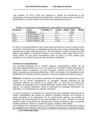 Universidad Nacional Agraria --- Sede Regional Camoapa 
_____________________________________________________________________________ 
Dr. Otoniel López López 
Las cadenas de hCG y eCG son mayores en número de aminoácidos al ser 
comparadas con las gonadotropinas hipofisiarias. También poseen mayor contenido de 
carbohidratos, lo que les confiere vida media más prolongada (Cuadro 1). 
Cuadro 1. Contenido de carbohidratos y vida media de las gonadotropinas 
Hormona Peso 
Molecular 
Glúcidos % Acido Siálico 
% 
Vida Media 
hrs. 
LH 28,500 Daltons 16 1 - 2 0.5 
FSH 34,000 Daltons 30 5 2 
hCG 36,700 Daltons 32 8.5 11 
eCG 68,000 Daltons 48 10.4 26 
La eCG es una glicoproteína de vida media larga que tiene en la vaca un efecto similar 
al de FSH. Esta hormona es un polipéptido producida por las copas endometriales de la 
placenta de la yegua entre los días 35 y 150 de gestación. Aunque su acción es FSH 
(folículo estimulante), su actividad biológica es de carácter mixto, mayor efecto FSH y 
menor efecto LH que ejerce directamente sobre el ovario. La hCG muestra gran 
similitud con LH, desde el punto de vista estructural y fisiológico. 
Hormonas neurohipofisarias 
Las hormonas llamadas de la hipófisis posterior (neurohipófisis) difieren de las 
hormonas adenohipofisarias en que no se originan en la hipófisis, donde únicamente se 
almacenan hasta su utilización. Las dos hormonas, oxitocina (secreción de leche y 
parto) y vasopresina (hormona antidiurética o ADH), se originan en el hipotálamo y son 
transferidas a la hipófisis posterior siguiendo la vía de los axones del sistema nervioso. 
Oxitocina. Sintetizada en el núcleo supraóptico del hipotálamo es transportada por los 
axones de los nervios hipotalámicos, en pequeñas vesículas rodeadas de una 
membrana. Además se produce en el cuerpo lúteo. La secreción de oxitocina es 
estimulada vía neurogénica por el amamantamiento, ordeño, parto, dilatación cervical o 
vaginal o el estímulo clitoridiano, siendo la acetilcolina el modulador estimulante y la 
adrenalina y la noradrenalina los agentes inhibidores. 
La acción principal de la oxitocina es la secreción de leche mediante contracción de las 
células mioepiteliales que rodean los alvéolos mamarios. Además se le atribuye un 
papel importante en la estimulación de las contracciones uterinas, que facilitan el 
transporte del espermatozoide en las vías genitales de la vaca. También se secreta 
durante el parto produciendo las contracciones uterinas necesarias para la expulsión 
del feto. El término “oxitócico” proviene del griego y significa “parto rápido”. 
Los estrógenos son necesarios para la acción de la oxitocina, pues estimula la síntesis 
de receptores para oxitocina; por tanto los estrógenos aumentan la respuesta del útero 
 