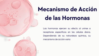 Las hormonas ejercen su efecto al unirse a
receptores específicos en las células diana.
Dependiendo de su naturaleza química, su
mecanismo de acción varía:
Mecanismo de Acción
de las Hormonas
 
