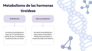 Sulfatación Glucuronidación
Aumenta la solubilidad en
agua de TH, facilitando la
excreción de TH sulfatada a
través de la bilis y la orina.
Metabolismo de las hormonas
tiroideas
Aumenta la solubilidad en
agua de los compuestos,
facilitando la excreción a
través de la bilis y el intestino.
 
