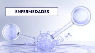 ENFERMEDADES
 