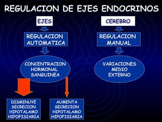 REGULACION DE EJES ENDOCRINOS
           EJES                CEREBRO

       REGULACION             REGULACION
       AUTOMATICA               MANUAL


      CONCENTRACION           VARIACIONES
        HORMONAL                 MEDIO
        SANGUINEA               EXTERNO




 DISMINUYE       AUMENTA
 SECRECION      SECRECION
HIPOTALAMO     HIPOTALAMO
HIPOFISIARIA   HIPOFISIARIA
 