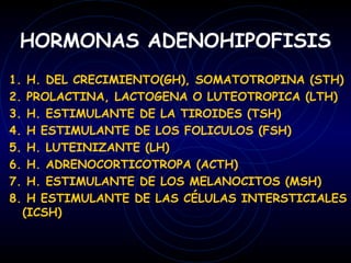 HORMONAS ADENOHIPOFISIS
1.    H. DEL CRECIMIENTO(GH), SOMATOTROPINA (STH)
2.    PROLACTINA, LACTOGENA O LUTEOTROPICA (LTH)
3.    H. ESTIMULANTE DE LA TIROIDES (TSH)
4.    H ESTIMULANTE DE LOS FOLICULOS (FSH)
5.    H. LUTEINIZANTE (LH)
6.    H. ADRENOCORTICOTROPA (ACTH)
7.    H. ESTIMULANTE DE LOS MELANOCITOS (MSH)
8.    H ESTIMULANTE DE LAS CÉLULAS INTERSTICIALES
     (ICSH)
 