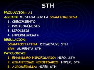 STH
PRODUCCION: A1
ACCION: MEDIADA POR LA SOMATOMEDINA
  1. CRECIMIENTO
  2. PROTEOGÉNESIS
  3. LIPOLISIS
  4. HIPERGLUCEMIA
REGULACION:
  SOMATOSTATINA: DISMINUYE STH
  SRH: AUMENTA STH
PATOLOGIAS:
  1. ENANISMO HIPOFISARIO: HIPO. STH
  2. GIGANTISMO HIPOFISARIO: HIPER. STH
  3. ACROMEGALIA: HIPER STH
 
