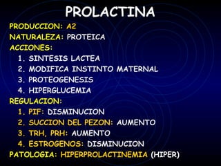 PROLACTINA
PRODUCCION: A2
NATURALEZA: PROTEICA
ACCIONES:
  1. SINTESIS LACTEA
  2. MODIFICA INSTINTO MATERNAL
  3. PROTEOGENESIS
  4. HIPERGLUCEMIA
REGULACION:
  1. PIF: DISMINUCION
  2. SUCCION DEL PEZON: AUMENTO
  3. TRH, PRH: AUMENTO
  4. ESTROGENOS: DISMINUCION
PATOLOGIA: HIPERPROLACTINEMIA (HIPER)
 