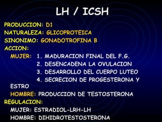 LH / ICSH
PRODUCCION: D1
NATURALEZA: GLICOPROTEICA
SINONIMO: GONADOTROFINA B
ACCION:
  MUJER: 1. MADURACION FINAL DEL F.G.
          2. DESENCADENA LA OVULACION
          3. DESARROLLO DEL CUERPO LUTEO
          4. SECRECION DE PROGESTERONA Y
  ESTRO
  HOMBRE: PRODUCCION DE TESTOSTERONA
REGULACION:
  MUJER: ESTRADIOL-LRH-LH
  HOMBRE: DIHIDROTESTOSTERONA
 