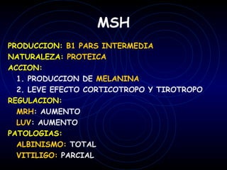 MSH
PRODUCCION: B1 PARS INTERMEDIA
NATURALEZA: PROTEICA
ACCION:
  1. PRODUCCION DE MELANINA
  2. LEVE EFECTO CORTICOTROPO Y TIROTROPO
REGULACION:
  MRH: AUMENTO
  LUV: AUMENTO
PATOLOGIAS:
  ALBINISMO: TOTAL
  VITILIGO: PARCIAL
 