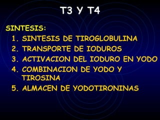 T3 Y T4
SINTESIS:
 1. SINTESIS DE TIROGLOBULINA
 2. TRANSPORTE DE IODUROS
 3. ACTIVACION DEL IODURO EN YODO
 4. COMBINACION DE YODO Y
    TIROSINA
 5. ALMACEN DE YODOTIRONINAS
 