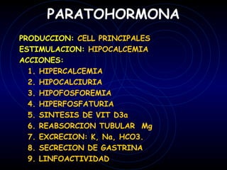 PARATOHORMONA
PRODUCCION: CELL PRINCIPALES
ESTIMULACION: HIPOCALCEMIA
ACCIONES:
  1. HIPERCALCEMIA
  2. HIPOCALCIURIA
  3. HIPOFOSFOREMIA
  4. HIPERFOSFATURIA
  5. SINTESIS DE VIT D3a
  6. REABSORCION TUBULAR Mg
  7. EXCRECION: K, Na, HCO3.
  8. SECRECION DE GASTRINA
  9. LINFOACTIVIDAD
 