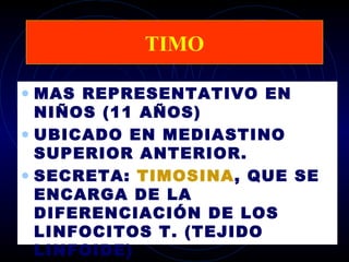 TIMO

• MAS REPRESENTATIVO EN
  NIÑOS (11 AÑOS)
• UBICADO EN MEDIASTINO
  SUPERIOR ANTERIOR.
• SECRETA: TIMOSINA, QUE SE
  ENCARGA DE LA
  DIFERENCIACIÓN DE LOS
  LINFOCITOS T. (TEJIDO
  LINFOIDE)
 