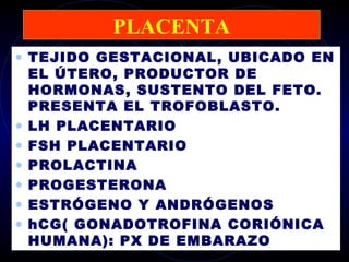 PLACENTA
• TEJIDO GESTACIONAL, UBICADO EN
    EL ÚTERO, PRODUCTOR DE
    HORMONAS, SUSTENTO DEL FETO.
    PRESENTA EL TROFOBLASTO.
•   LH PLACENTARIO
•   FSH PLACENTARIO
•   PROLACTINA
•   PROGESTERONA
•   ESTRÓGENO Y ANDRÓGENOS
•   hCG( GONADOTROFINA CORIÓNICA
    HUMANA): PX DE EMBARAZO
 