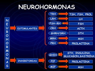 NEUROHORMONAS
                   TRH         TSH, FSH, PROL
                   LRH              LH
N
E                  FSH-RH           FSH
U   ESTIMULANTES   CRH             ACTH
R                  GHRH/SRH         STH
O
H                  MRH              MSH
O                  PRH          PROLACTINA
R
M
                              STH, INSULINA,
O                  GHIH     GLUCAGON,GASTRINA
N
    INHIBITORIAS   PIF          PROLACTINA
A
S                  MIF              MSH
 