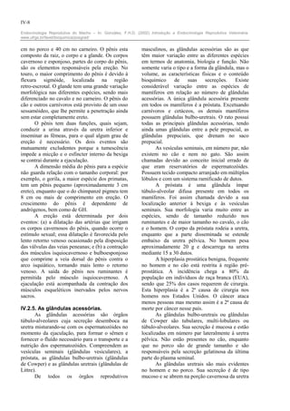 IV-8

Endocrinologia Reprodutiva do Macho – In: González, F.H.D. (2002) Introdução a Endocrinologia Reprodutiva Veterinária.
www.ufrgs.br/favet/bioquimica/posgrad/


cm no porco e 40 cm no carneiro. O pênis esta                 masculinos, as glândulas acessórias são as que
composto da raiz, o corpo e a glande. Os corpos               têm maior variação entre as diferentes espécies
cavernoso e esponjoso, partes do corpo do pênis,              em termos de anatomia, biologia e função. Não
são os elementos responsáveis pela ereção. No                 somente varia o tipo e a forma da glândula, mas o
touro, o maior comprimento do pênis é devido à                volume, as características físicas e o conteúdo
flexura sigmóide, localizada na região                        bioquímico     de     suas    secreções.    Existe
retro-escrotal. O glande tem uma grande variação              considerável variação entre as espécies de
morfológica nas diferentes espécies, sendo mais               mamíferos em relação ao número de glândulas
diferenciado no cavalo e no carneiro. O pênis do              acessórias. A única glândula acessória presente
cão e outros carnívoros está provisto de um osso              em todos os mamíferos é a próstata. Excetuando
sessamóideo, que lhe permite a penetração ainda               carnívoros e cetáceos, os demais mamíferos
sem estar completamente ereto.                                possuem glândulas bulbo-uretrais. O rato possui
       O pênis tem duas funções, quais sejam,                 todas as principais glândulas acessórias, tendo
conduzir a urina através da uretra inferior e                 ainda umas glândulas entre a pele prepucial, as
inseminar as fêmeas, para o qual algum grau de                glândulas prepuciais, que drenam no saco
ereção é necessário. Os dois eventos são                      prepucial.
mutuamente excludentes porque a tumescência                          As vesículas seminais, em número par, não
impede a micção e o esfíncter interno da bexiga               existem no cão e nem no gato. São assim
se contrai durante a ejaculação.                              chamadas devido ao conceito inicial errado de
       A dimensão média do pênis para a espécie               que eram reservatórios de espermatozóides.
não guarda relação com o tamanho corporal: por                Possuem tecido compacto arranjado em múltiplos
exemplo, o gorila, a maior espécie dos primatas,              lóbulos e com um sistema ramificado de dutos.
tem um pênis pequeno (aproximadamente 3 cm                           A próstata é uma glândula ímpar
ereto), enquanto que o do chimpanzé pigmeu tem                túbulo-alveolar difusa presente em todos os
8 cm ou mais de comprimento em ereção. O                      mamíferos. Foi assim chamada devido a sua
crescimento do pênis é dependente de                          localização anterior à bexiga e às vesículas
andrógenos, bem como de GH.                                   seminais. Sua morfologia varia muito entre as
       A ereção está determinada por dois                     espécies, sendo de tamanho reduzido nos
eventos: (a) a dilatação das artérias que irrigam             ruminantes e de maior tamanho no cavalo, o cão
os corpos cavernosos do pênis, quando ocorre o                e o homem. O corpo da próstata rodeia a uretra,
estímulo sexual; essa dilatação é favorecida pelo             enquanto que a parte disseminada se estende
lento retorno venoso ocasionado pela disposição               embaixo da uretra pélvica. No homem pesa
das válvulas das veias peneanas; e (b) a contração            aproximadamente 20 g e descarrega na uretra
dos músculos isquiocavernoso e bulboesponjoso                 mediante 15 a 30 dutos.
que comprime a veia dorsal do pênis contra o                         A hiperplasia prostática benigna, frequente
arco isquiático, tornando mais lento o retorno                no homem e no cão está restrita à região pré-
venoso. A saída do pênis nos ruminantes é                     prostática. A incidência chega a 80% da
permitida pelo músculo isquiocavernoso. A                     população em indivíduos de raça branca (EUA),
ejaculação está acompanhada da contração dos                  sendo que 25% dos casos requerem de cirurgia.
músculos esqueléticos inervados pelos nervos                  Esta hiperplasia é a 2ª causa de cirurgia nos
sacros.                                                       homens nos Estados Unidos. O câncer ataca
                                                              menos pessoas mas mesmo assim é a 2ª causa de
IV.2.5. As glândulas acessórias.                              morte por câncer nesse país.
       As glândulas acessórias são órgãos                            As glândulas bulbo-uretrais ou glândulas
túbulo-alveolares cuja secreção desemboca na                  de Cowper são tubulares, multi-lobulares ou
uretra misturando-se com os espermatozóides no                túbulo-alveolares. Sua secreção é mucosa e estão
momento da ejaculação, para formar o sêmen e                  localizadas em número par lateralmente à uretra
fornecer o fluído necessário para o transporte e a            pélvica. Não estão presentes no cão, enquanto
nutrição dos espermatozóides. Compreendem as                  que no porco são de grande tamanho e são
vesículas seminais (glândulas vesiculares), a                 responsáveis pela secreção gelatinosa da última
próstata, as glândulas bulbo-uretrais (glândulas              parte do plasma seminal.
de Cowper) e as glândulas uretrais (glândulas de                     As glândulas uretrais são mais evidentes
Littre).                                                      no homem e no porco. Sua secreção é de tipo
       De todos os órgãos reprodutivos                        mucoso e se abrem na porção cavernosa da uretra
 