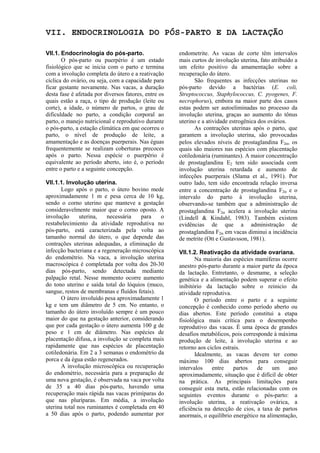 VII. ENDOCRINOLOGIA DO PÓS-PARTO E DA LACTAÇÃO

VII.1. Endocrinologia do pós-parto.                   endometrite. As vacas de corte têm intervalos
       O pós-parto ou puerpério é um estado           mais curtos de involução uterina, fato atribuído a
fisiológico que se inicia com o parto e termina       um efeito positivo da amamentação sobre a
com a involução completa do útero e a reativação      recuperação do útero.
cíclica do ovário, ou seja, com a capacidade para            São frequentes as infecções uterinas no
ficar gestante novamente. Nas vacas, a duração        pós-parto devido a bactérias (E. coli,
desta fase é afetada por diversos fatores, entre os   Streptococcus, Staphylococcus, C. pyogenes, F.
quais estão a raça, o tipo de produção (leite ou      necrophorus), embora na maior parte dos casos
corte), a idade, o número de partos, o grau de        estas podem ser autoeliminadas no processo da
dificuldade no parto, a condição corporal ao          involução uterina, graças ao aumento do tônus
parto, o manejo nutricional e reprodutivo durante     uterino e a atividade estrogênica dos ovários.
o pós-parto, a estação climática em que ocorreu o            As contrações uterinas após o parto, que
parto, o nível de produção de leite, a                garantem a involução uterina, são provocadas
amamentação e as doenças puerperais. Nas éguas        pelos elevados níveis de prostaglandina F2α, os
frequentemente se realizam coberturas precoces        quais são maiores nas espécies com placentação
após o parto. Nessa espécie o puerpério é             cotiledonária (ruminantes). A maior concentração
equivalente ao período aberto, isto é, o período      de prostaglandina E2 tem sido associada com
entre o parto e a seguinte concepção.                 involução uterina retardada e aumento de
                                                      infecções puerperais (Slama et al., 1991). Por
VII.1.1. Involução uterina.                           outro lado, tem sido encontrada relação inversa
       Logo após o parto, o útero bovino mede         entre a concentração de prostaglandina F2α e o
aproximadamente 1 m e pesa cerca de 10 kg,            intervalo do parto à involução uterina,
sendo o corno uterino que manteve a gestação          observando-se também que a administração de
consideravelmente maior que o corno oposto. A         prostaglandina F2α acelera a involução uterina
involução      uterina,   necessária   para    o      (Lindell & Kindahl, 1983). Também existem
restabelecimiento da atividade reprodutiva no         evidências de que a administração de
pós-parto, está caracterizada pela volta ao           prostaglandina F2α em vacas diminui a incidência
tamanho normal do útero, o que depende das            de metrite (Ott e Gustavsson, 1981).
contrações uterinas adequadas, a eliminação de
infecção bacteriana e a regeneração microscópica      VII.1.2. Reativação da atividade ovariana.
do endométrio. Na vaca, a involução uterina                  Na maioria das espécies mamíferas ocorre
macroscópica é completada por volta dos 20-30         anestro pós-parto durante a maior parte da época
dias pós-parto, sendo detectada mediante              da lactação. Entretanto, o desmame, a seleção
palpação retal. Nesse momento ocorre aumento          genética e a alimentação podem superar o efeito
do tono uterino e saída total do lóquios (muco,       inibitório da lactação sobre o reinicio da
sangue, restos de membranas e fluídos fetais).        atividade reprodutiva.
       O útero involuído pesa aproximadamente 1              O período entre o parto e a seguinte
kg e tem um diâmetro de 5 cm. No entanto, o           concepção é conhecido como período aberto ou
tamanho do útero involuído sempre é um pouco          dias abertos. Este período constitui a etapa
maior do que na gestação anterior, considerando       fisiológica mais crítica para o desempenho
que por cada gestação o útero aumenta 100 g de        reprodutivo das vacas. É uma época de grandes
peso e 1 cm de diâmetro. Nas espécies de              desafios metabólicos, pois corresponde à máxima
placentação difusa, a involução se completa mais      produção de leite, à involução uterina e ao
rapidamente que nas espécies de placentação           retorno aos ciclos estrais.
cotiledonária. Em 2 a 3 semanas o endométrio da              Idealmente, as vacas devem ter como
porca e da égua estão regenerados.                    máximo 100 dias abertos para conseguir
       A involução microscópica ou recuperação        intervalos    entre     partos   de    um    ano
do endométrio, necessária para a preparação de        aproximadamente, situação que é difícil de obter
uma nova gestação, é observada na vaca por volta      na prática. As principais limitações para
de 35 a 40 dias pós-parto, havendo uma                conseguir esta meta, estão relacionadas com os
recuperação mais rápida nas vacas primíparas do       seguintes eventos durante o pós-parto: a
que nas pluríparas. Em média, a involução             involução uterina, a reativação ovárica, a
uterina total nos ruminantes é completada em 40       eficiência na detecção de cios, a taxa de partos
a 50 dias após o parto, podendo aumentar por          anormais, o equilíbrio energético na alimentação,
 