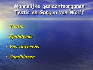 Mannelijke geslachtsorganenMannelijke geslachtsorganen
Testis en Gangen van WolffTestis en Gangen van Wolff
• TestisTestis
• EpididymisEpididymis
• Vas deferensVas deferens
• ZaadblazenZaadblazen
 