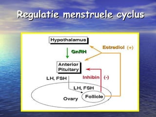 Regulatie menstruele cyclusRegulatie menstruele cyclus
 